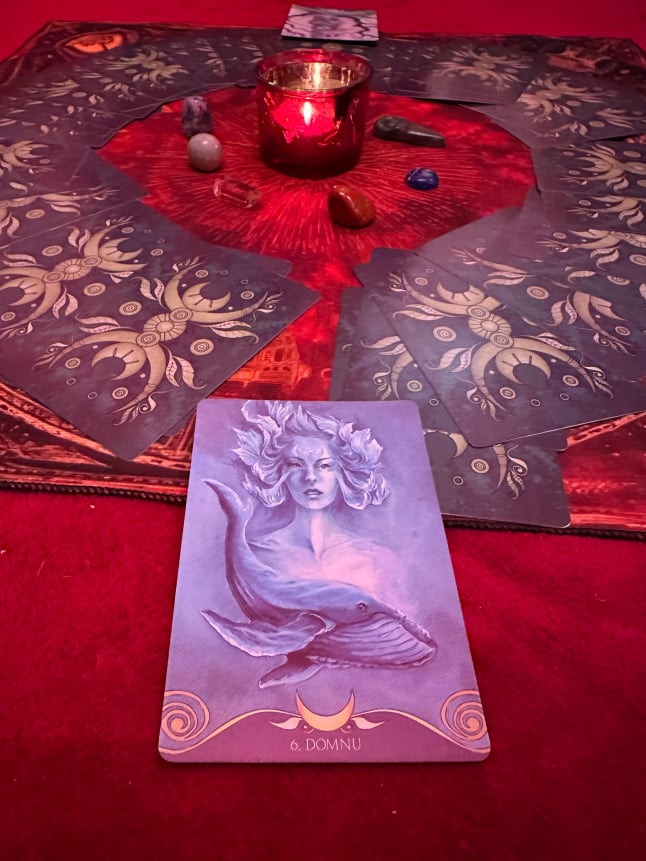 Carolina de Lespinay - Psychopraticienne