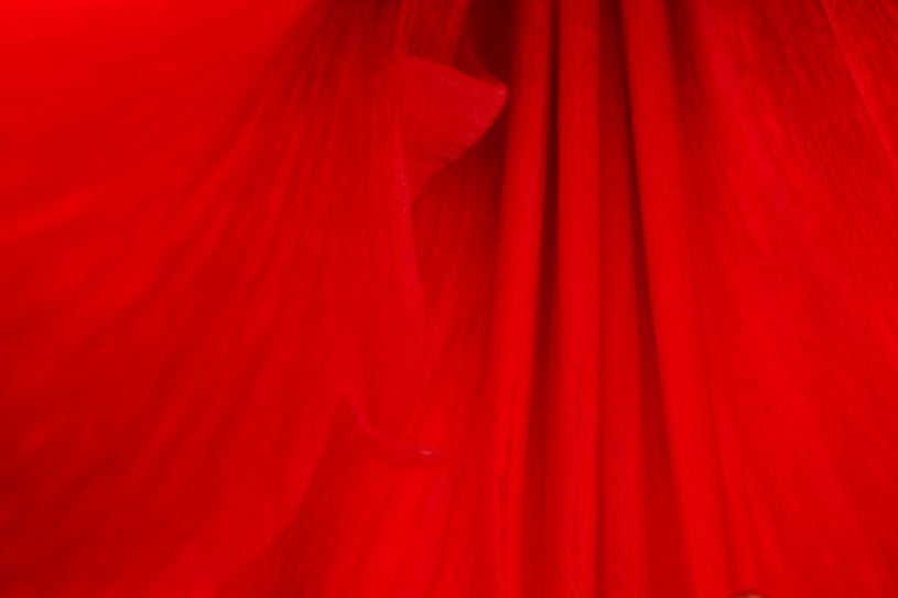 Carolina de Lespinay - Psychopraticienne